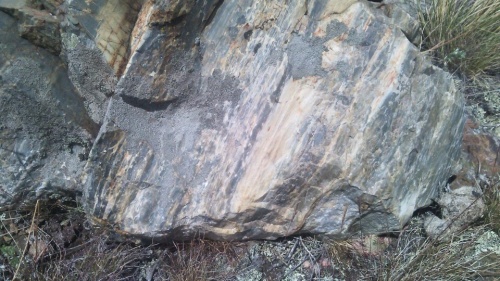 Гигантские зелёные валуны для ландшафтного дизайна весом более 5 тонн купить в Сахалинской области