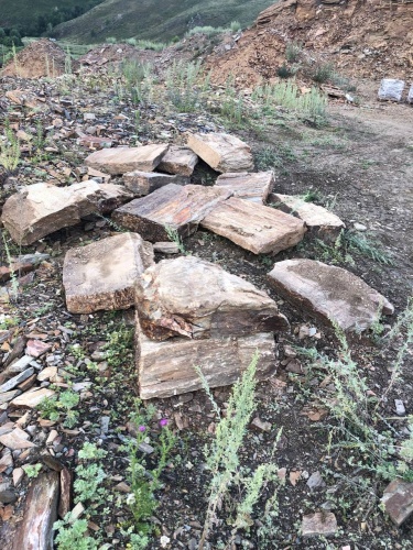 Плитняк кора дерева 50-100мм для пошаговых дорожек купить в Сахалинской области